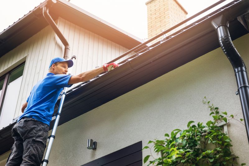 Professional Gutter Cleaning Service