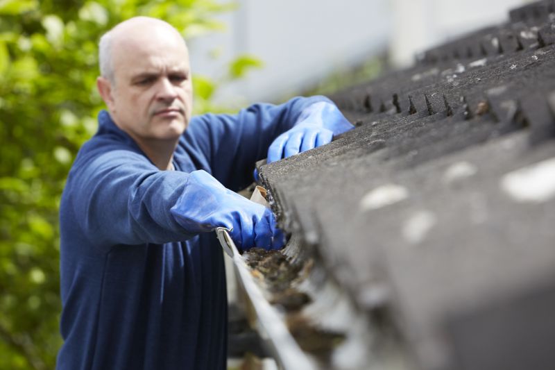 Gutter Inspection and Cleaning