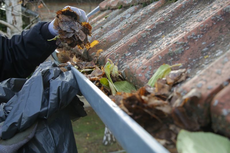 Gutter Debris Removal